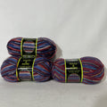 Soles & More Sock Yarn Lot 3 Self Striping Wool Blend Colors 1811 18140