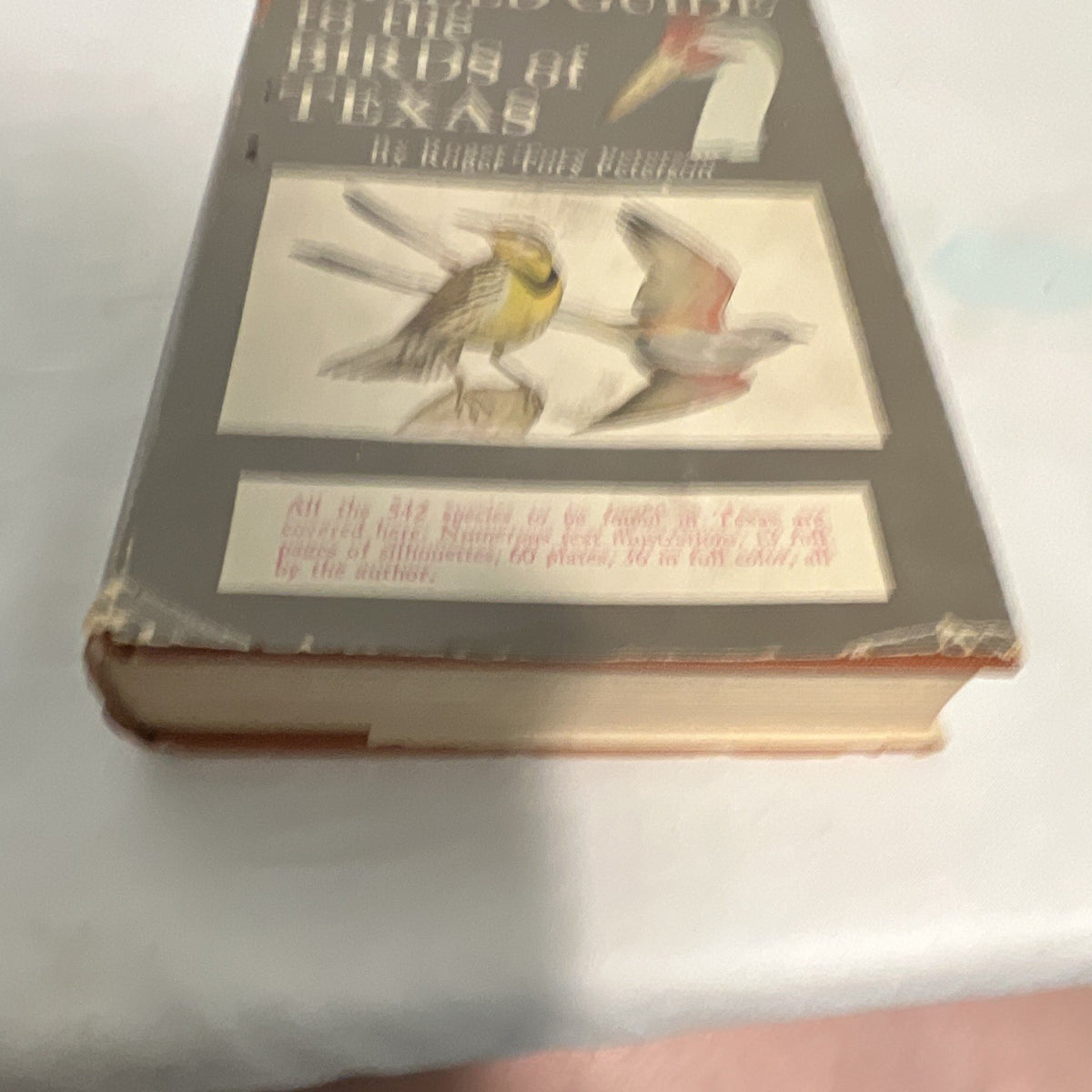 A Field Guide to the Birds of Texas HC Roger Tory Peterson 1960 1st print9